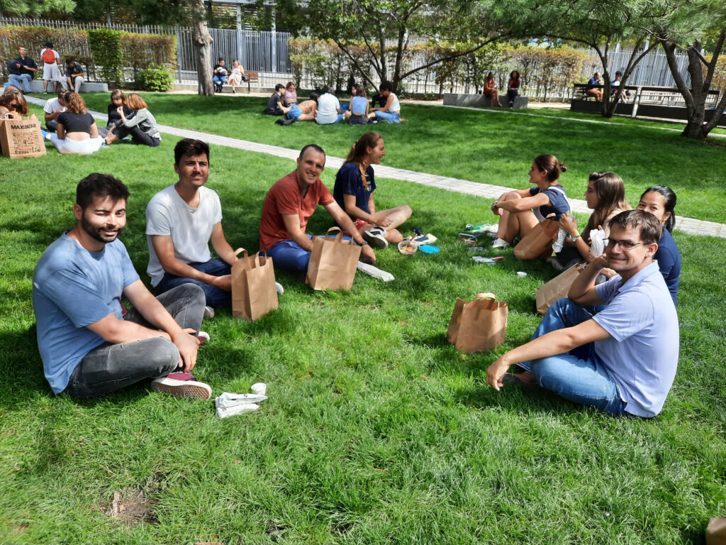 Groupe de jeunes ingénieurs déjeunant sur l'herbe d'un square.